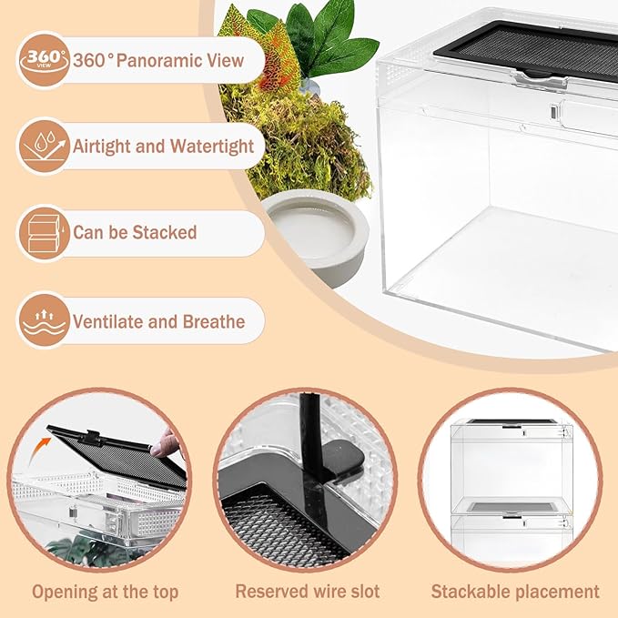Reptile Terrarium, Jumping Spider Enclosure Starter Kit, Leopard Gecko Habitat Container, 8"x8"x6"Reptile Tank for Tarantula, Hermit Crab, Insect, Fish, Frog, Small Bearded Dragon, Lizard