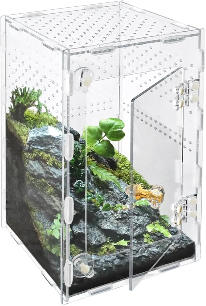 Acrylic Jumping Spider Enclosure Box: 10x6x6 Inch Transparent Habitat with Ventilation Holes, Escape-Proof Terrarium for Reptile Pet, Easy to Clean & Observe