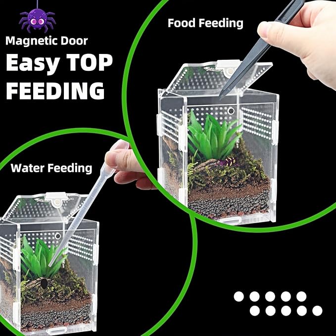 Hermit Crab Tank Jumping Spider Enclosure Acrylic Terrarium Habitat High Clarity Escape-Proof Small Terrarium for Hermit Crab Jumping Spiders Frogs and Small Reptiles Ideal for Reptile Keepers