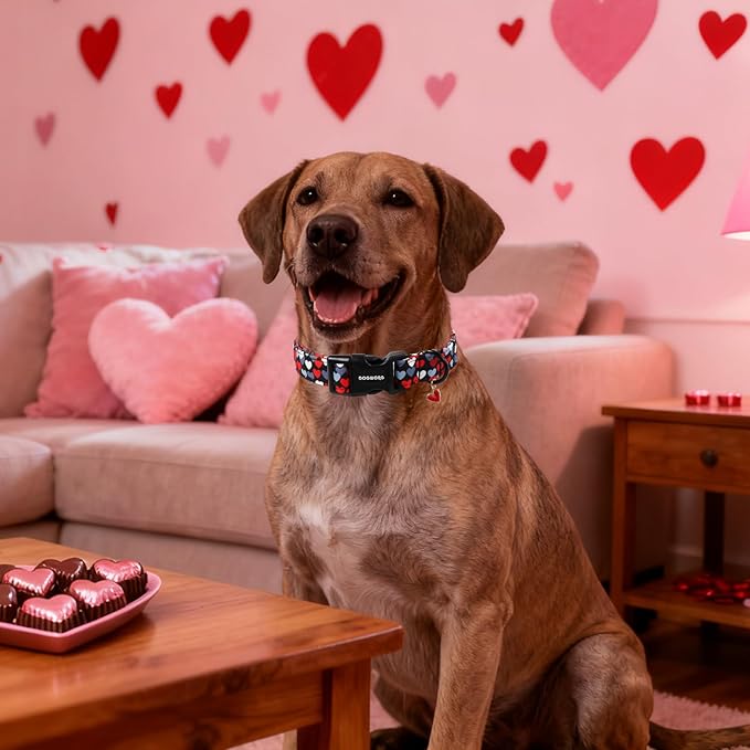 DOGWONG Red Heart Dog Collar, Cute Valentine Collar, Valentine's Day Dog Collar with Strong Plastic Buckle for Small Medium Large Dogs,XS