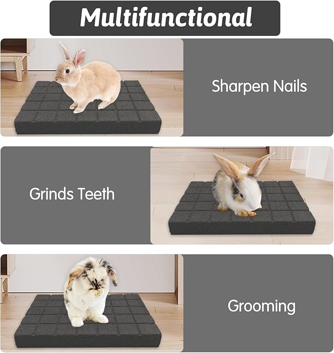 Hamiledyi Rabbit Scratch Foot Pads Bunny Grinding Claw Pad 4 PCS Small Animal Lava Grinding Teeth Stone Hamster Grinding Teeth Block for Guinea Pig Rat Gerbil Chinchilla Hedgehog