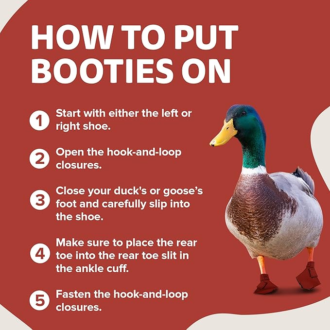 Duck Shoes for Injured Feet – Protective Neoprene Footwear for Ducks, Protective Shoes for Birds with Injured feet, Bumblefoot Relief - Large, 4.5” Max. Inside Width - Red