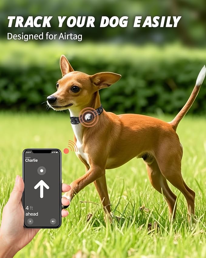 Joytale Airtag Dog Collar, Reflective Pet Collar with Waterproof AirTag Holder, Dual D-Rings, Soft Padded Adjustable for Extra Small and Puppy Dogs, Black, XS