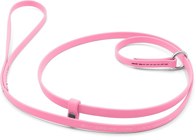 Jelly Pet Grooming Lead for Dogs | Great for Kennels, Veterinarians and Dog Grooming Salons | Biothane Leash - Easy to Clean, Waterproof & Durable Noose Loop | Made in The USA | 5/8" x 6'
