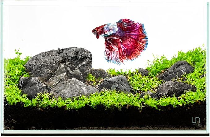 Ultum Nature Systems Ultra Clear Rimless Nano Aquarium - Low Iron Glass Fish Tank with 45° Mitered Edges, 5mm-12mm Thick, Leveling Mat Included (5N, 5 Gallon)