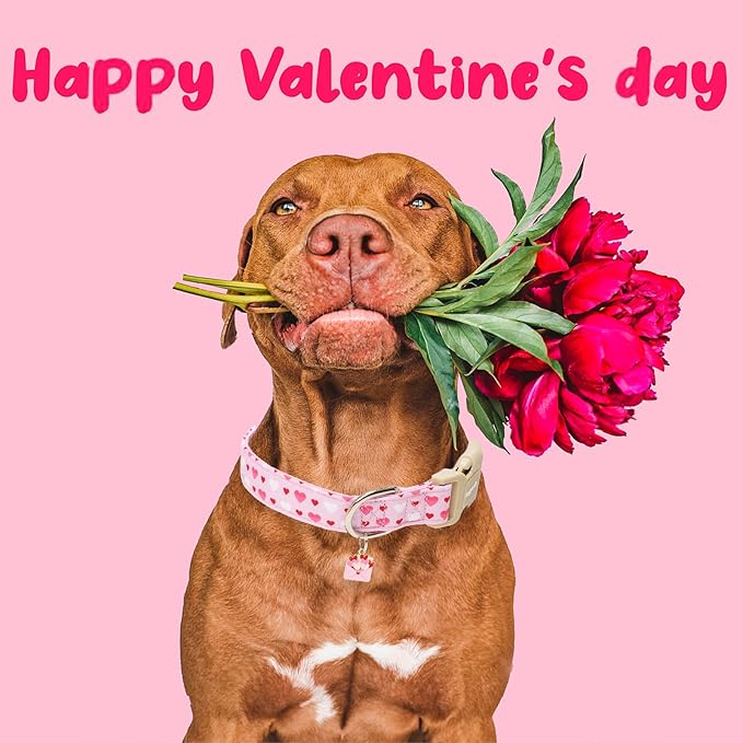 Faygarsle Valentine's Day Dog Collar, Pink with Red and White Hearts Pattern, Adjustable with Quick-Release Buckle and Heart Charm S