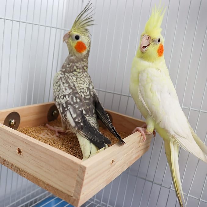 Bird Feeding Cups, Natural Wooden Parrot Perch Stand, Birds Food Dish, Parakeets Feeder Bowl, Cage Accessories for Small Animals Rat Hamster Guinea Pig Chinchillas Budgies Cockatiels Love Birds