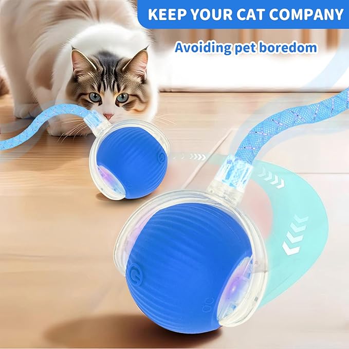 Interactive Cat Toys for Indoor Cats Smart Automatic Ball Rolling for Bored Kitten Pet Upgraded Speedy Moving Chase Dogs Toy Blue Dragonfly