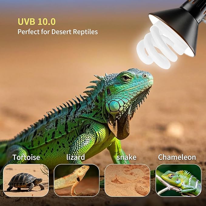 UVB Light Bulb for Reptiles, 9W 10.0 UVA UVB Heat Lamp Bulbs Ideal for Rainforest Reptiles, Bearded Dragons Lizard Turtle Tortoise Iguanas Chameleons Snake (2 Pack)