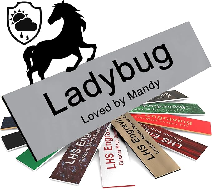 Personalized Horse Stall Name Plates, 2x10 Horse Stall Signs with Adhesive, All Weather UV Protected, Gray Plastic with Black Letters - Made in USA - B8