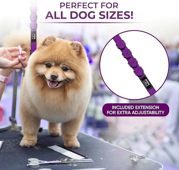 Prestige Elite - Grooming loops for Dogs, Groomers Helper, Grooming Loops for Pet Groomers Adjustable Bio Thane Dog Grooming Loop, Belly Strap, Grooming Noose, Waterproof Extension Strap & Suction Cup