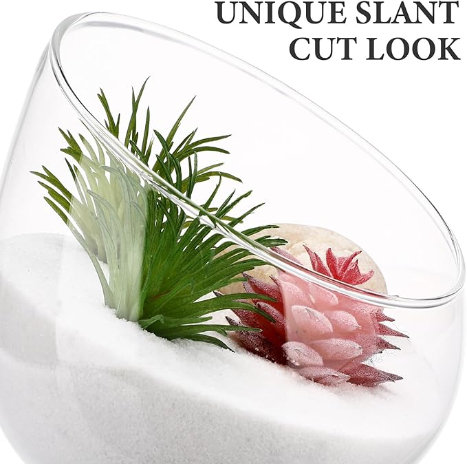 Yardwe 1PC Glass Terrarium Bowl Vase Slant Cut Bubble Bowl Glass Plant Terrarium Container Micro Landscape Planter for Succulent Plant