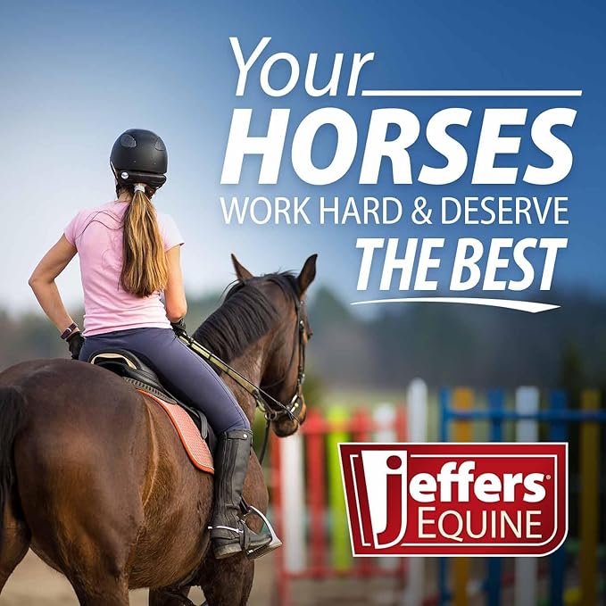 Jeffers Horse Fleece Polo Wraps 4 Pack and Equine Health Record 1 Pack Kit – Leg Wrap Accessories for Training Riding Turnout Stable, Hoof Care Tracker, Equestrian Horse Supplies - White