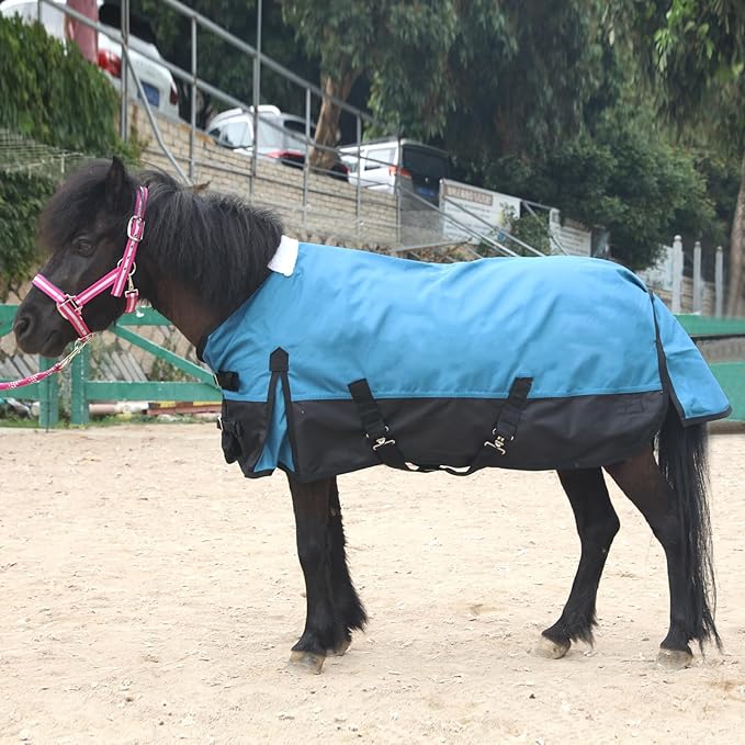 Mini Horse/Pony/Foal/Miniature Size 36"-51" Lightweight Waterproof & Breathable 1200 Denier Turnout Blanket with No Filling Peacockblue 39"