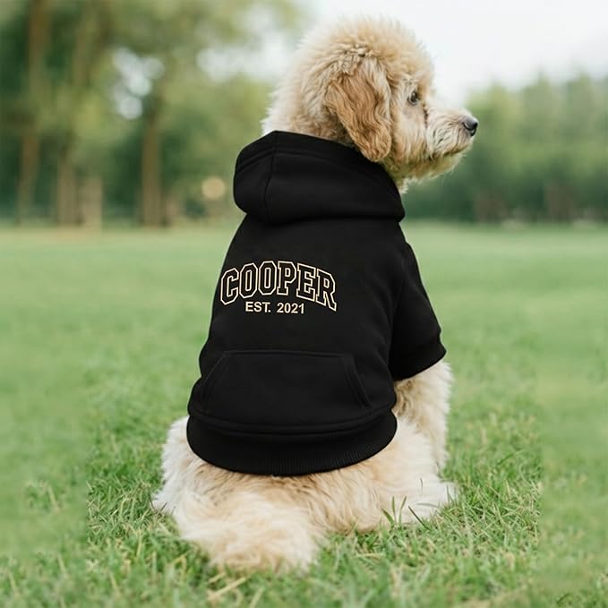 Noni Personalized Name Dog Hoodie, Embroidered Puppy Sweater with Name Text, Custom Pet Clothes Warm Winter Outfit for Dogs, Bright Puppy Sweatshirt, Pet Birthday Outfit, Gift for Dog Lovers