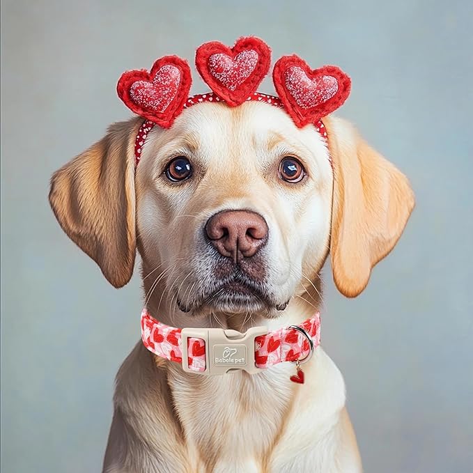 Valentines Dog Collar for Giant Large Dogs - Cute Pink Girl Dog Collar, Doodle Heart Pattern, Adjustable Valentine Dog Collars with Red Heart Charm XL