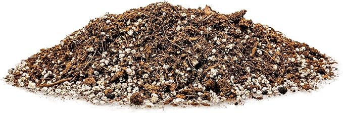 Gardenera Professional Carnivorous Plant Soil - Ready to Use for Venus Flytraps, Sundews, Pitcher Plants, Butterworts | Peat Moss, Coco Coir, Perlite - 10 Quart
