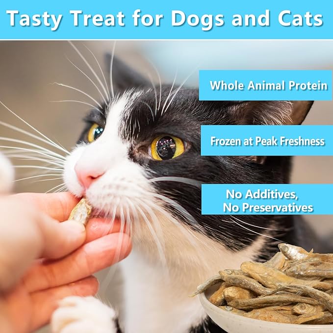 Freeze Dried Minnows, 100% Natural Premium Cat Dog Treat, Freeze Dried Minnows Pet Treats, for Dogs Cats (2.8 OZ)
