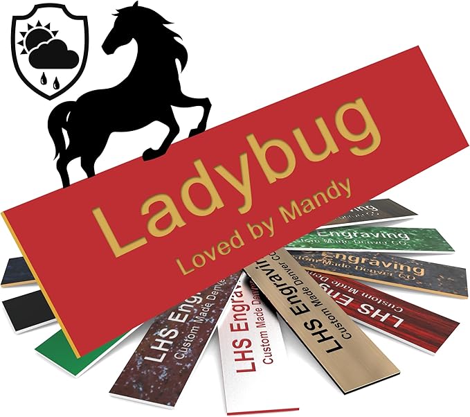 Personalized Horse Stall Name Plates, 2x10 Horse Stall Signs with Adhesive, All Weather UV Protected, Red Plastic Gold Letters - Made in USA - B17