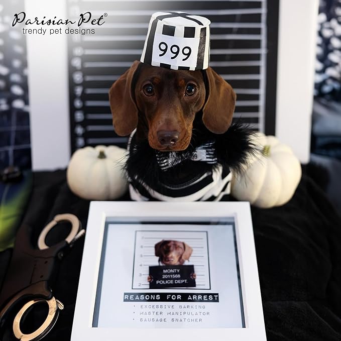 Parisian Pet - Medium Dog Shirt - Black & White Striped - Cotton & Polyester - Sleeved & Lightweight - Prisoner Dog Theme