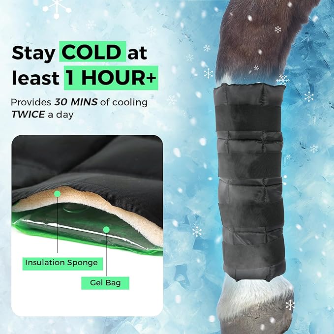 Reusable Gel Horse Ice Boots (Set of 4) - Adjustable Leg Wraps for Cooling Relief on Hocks, Knees & Ankles, Durability & Cooling in Active Horses