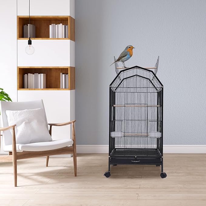 Iron Parakeet Bird Cage with Stand, Pet Bird Container with Skylight, Large Cage for Medium&Small Bird with Wheels and Doors for Cockatiel Sun Conure Senegal Jardine Quaker Budgie (Black)