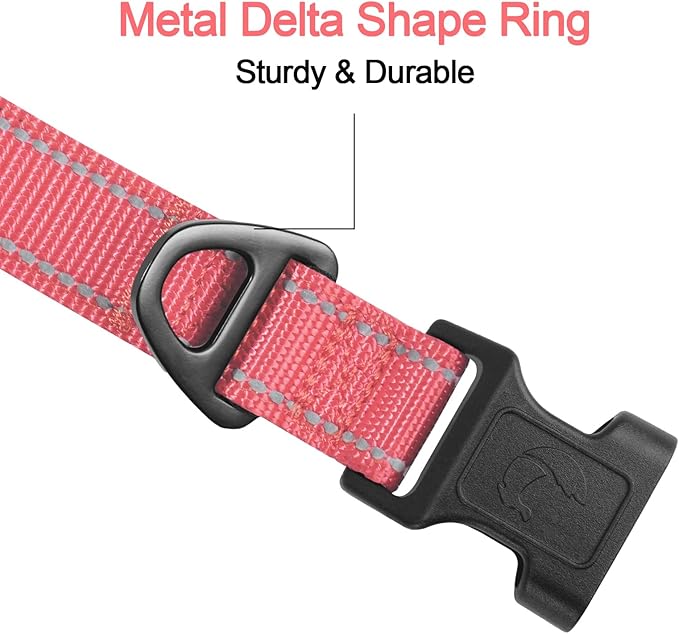 Joytale Reflective Dog Collar, Soft Neoprene Padded, Metal D-Ring, Nylon Pet Collar Adjustable for Medium Dogs, Neon Pink, M