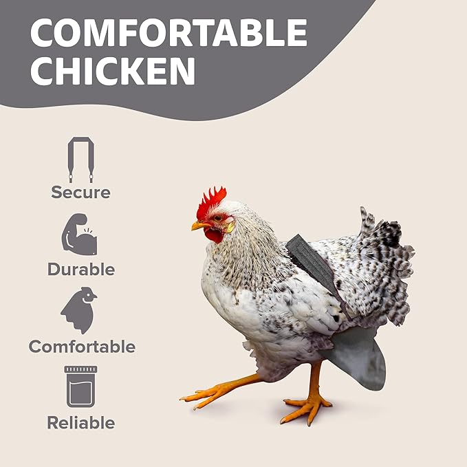Hen Holster Bikini Diaper, Bird Diaper & Harness for Hens, Roosters, Ducks, Geese - with Removable Vinyl Liner, Adjustable Fit for Outdoor Adventures & Indoor Use - Easy to wear - S/M, Gray