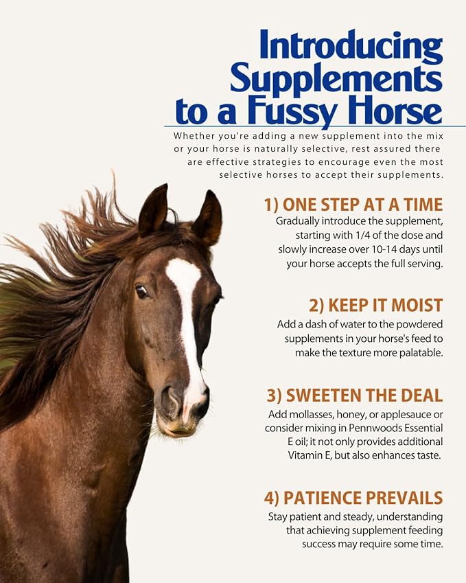 Pennwoods Organic Essential Mag, Magnesium for Horses Supplement, Aids in Glucose Metabolism, Reducing Stress and Provides Calm for Your Horse, 5 LB Bag