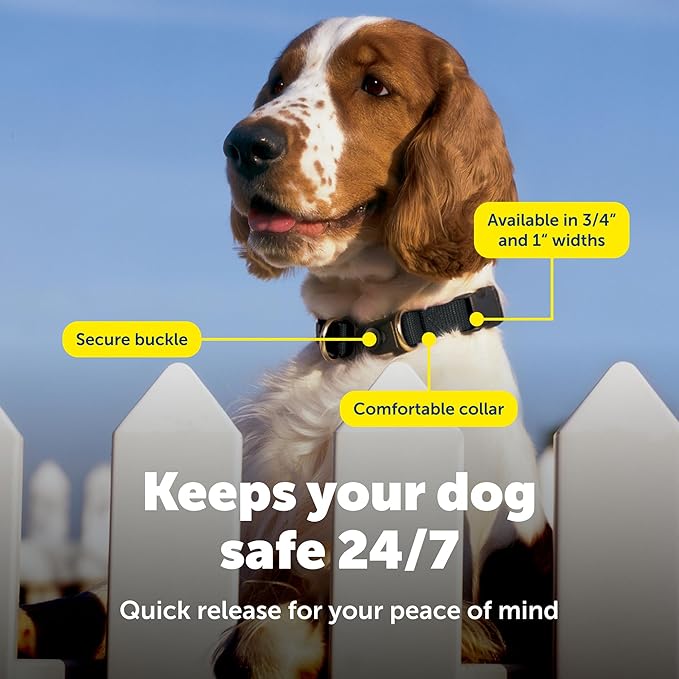 PetSafe KeepSafe Collar for Dogs - Protects Against Collar Accidents - Long Lasting - Durable - Adjustable - Breakaway - Outdoor-Safe - Medium - 1 In. Wide - Black