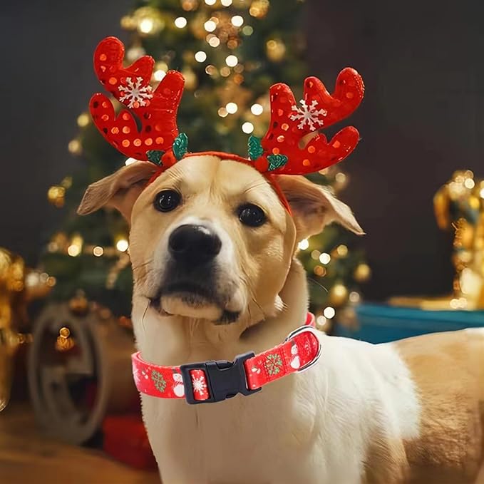 Christmas Dog Collar with Buckle Adjustable Safety Nylon Collars for Small Medium Large Dogs, Cute Stylish Girl Boy Christmas Dog Collar (Christma Red,S)