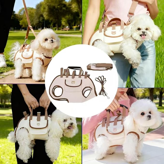 Portable Small Dog & Cat Pet Carrier Sling & Backpack for Small Dogs & Cats & Puppy, Dog & Pet Purse Bag Carrier Sling for Small Dogs with Dog Traction Leash, Crossbody Sling Carriers (Orange S)