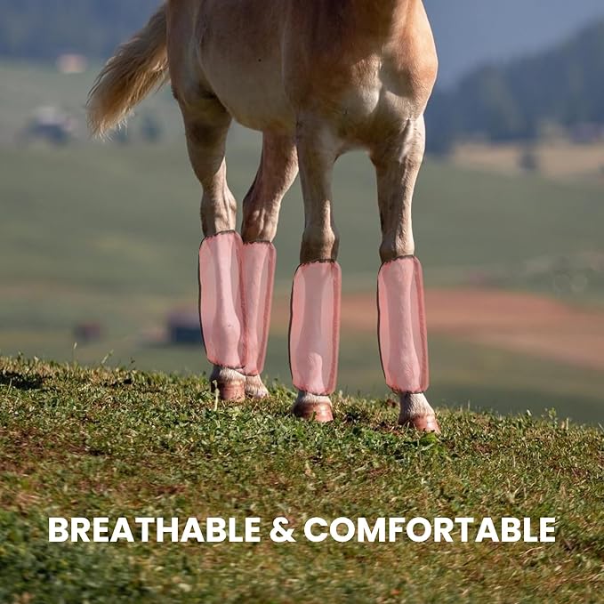 Mesh Fly Boots Horse Fly Boots Mesh Fly Wraps Leg Guard for Horse Set of 4