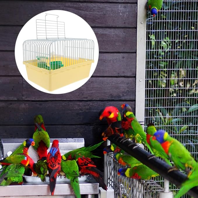 Garneck Small Bird Travel Cage: Portable Parakeet Carrier with Food and Water Box 9.2 Inch Animals Cage for Cockatiels Parrot - Easy to Carry for Short Trip, Daily Outing