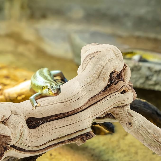 Janinka 14-17" Length Large Wood Reptile Branch for Bearded Dragon Driftwood Reptile Climbing Habitat Decoration for Terrarium Tree Trunk Ornament Gecko Frog Chameleon Spider