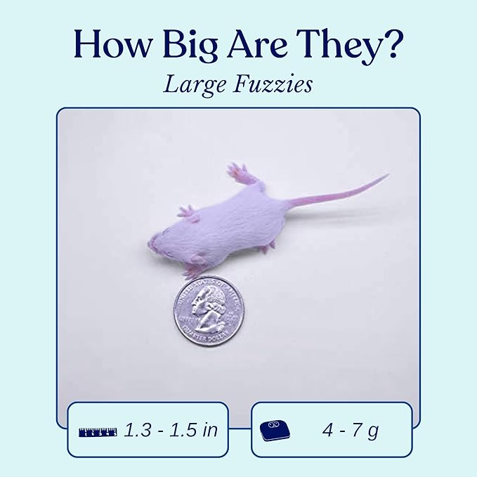 MiceDirect 125 Premium Frozen Mice Fuzzies Snake Food Feeders for Baby Ball Pythons Red Tail Boas Sub Adult Milks (Pack of 125)(1.5-2 in)(500 Grams Min)
