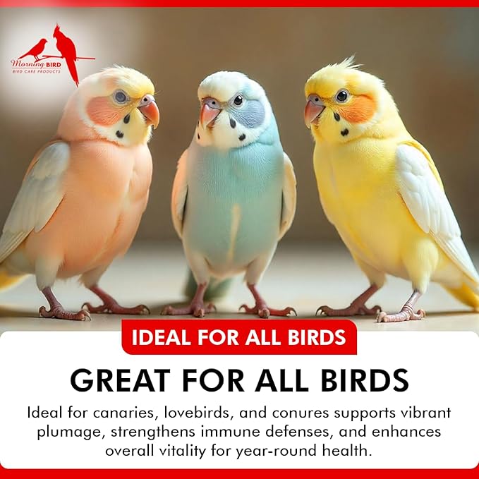 Morning Bird Bee Pollen Powder for Birds 1 Oz – Complete Nutrition with Protein, Amino Acids & Immune Support – Bird Vitamin & Mineral Supplement for Daily Health & Wellness