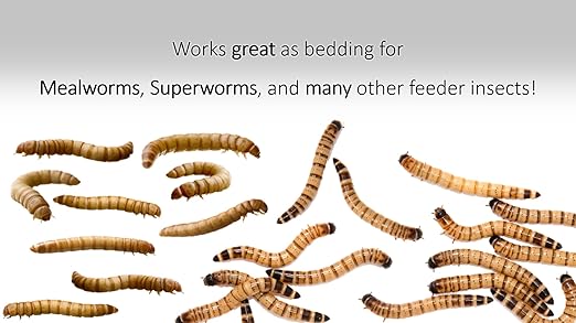 3 lb. Wheat Bran Bedding/Gutload for Mealworms and Superworms by Five-Star Feeders, 48 Ounces