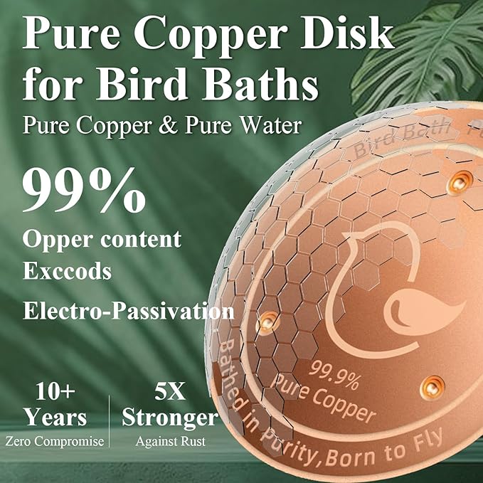 Copper Bird Bath Disks (2-Pack), 4.2" Large Surface, 20% More Coverage, Year-Round Water Cleanliness