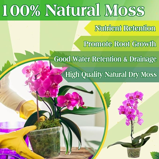 Halatool 6OZ Green Moss for Indoor Plants, 8QT Orchid Moss for Repotting, Forest Moss for Potted Plants, Real Moss for Succulent Carnivorous Houseplant Terrariums Garden Reptiles