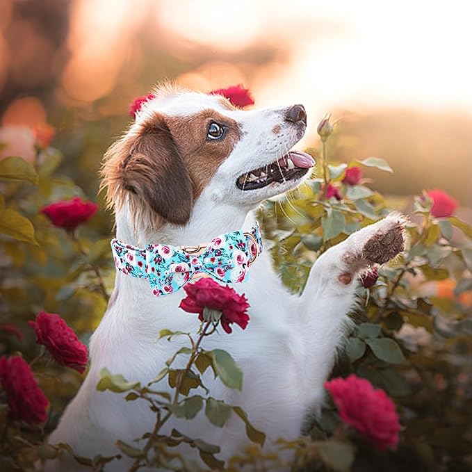 Elegant little tail Dog Collar, Rose Print Pet Collar Summer Dog Collar Durable Metal Buckle Dog Collars Cotton Pet Adjustable Dog Collars for X-Large Dogs