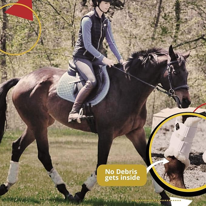 Kavallerie Classic Tendon Boots, Impact-Absorbing Material, Breathable & Evenly Distribute Pressure, Protect Tendon and Ligaments, Anti-Slip, Anti- Sore and Moisture Repellant Show Jumping Boots