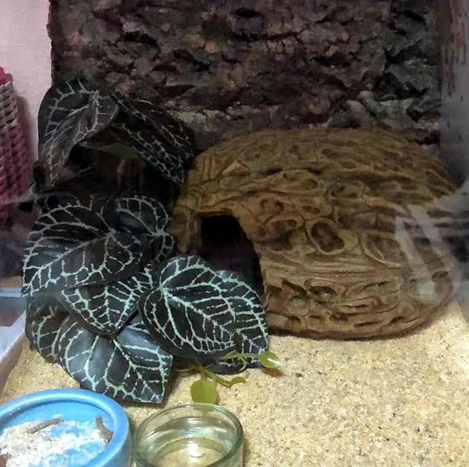 Reptile Plants for Terrarium,Amphibian Habitat Decor,Artificial Plants for Gecko Chameleon Snake Tortoise Bearded Dragon Tank Accessories with Base（Anthurium Crystallinum）