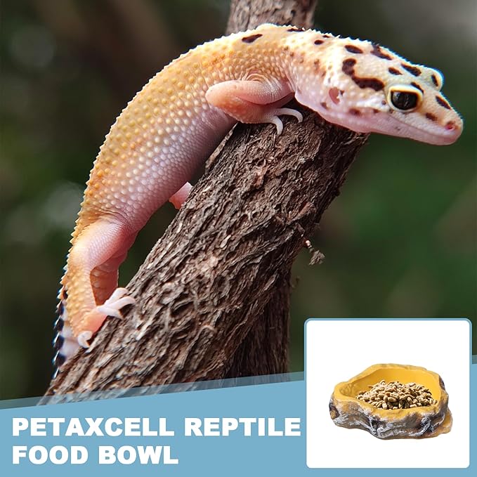 Reptile Food Bowl, Reptile Feeding Dish Corner Bowl Water Resin Rock Worm Feeder Dish XS (3.7 in, Yellow), Intended for Lizards/o/Scaled Pet/Leopard o/Spiders