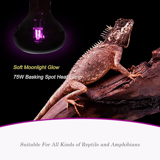 WUHOSTAM 2 Pack 75W Reptile UVA Infrared Moonlight Night Heat Lamp,Basking Spot Bulb Black Glass Cover for Lizard, Chameleon, Snake, Aquarium Reptile, Amphibian