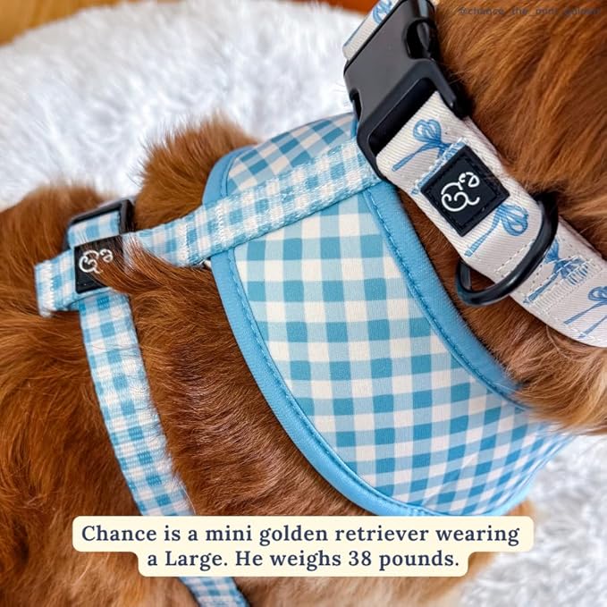 Lucy & Co. Dog Collar - Durable Lightweight Designer Collar for Pets - Adjustable Metal Safety Buckel - Medium - White with Blue Bows