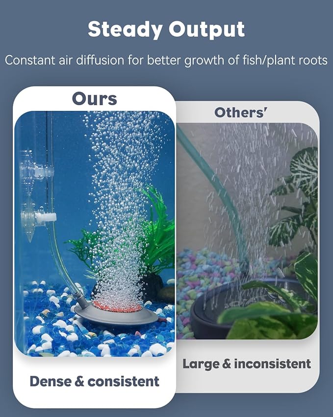 Pawfly 3.5 Inch Air Stone Disc for for Aquariums Fish Tanks & Buckets with Suction Cups, Fish Tank Air Stone Bubbler Diffuser Oxygen (Pump and Tubing Not Included)