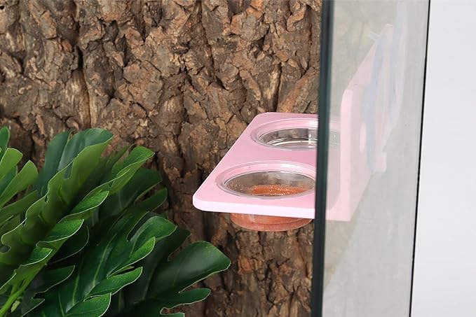 Crested Gecko Feeding Ledge with 10PCS Gecko Food Dish - Pink