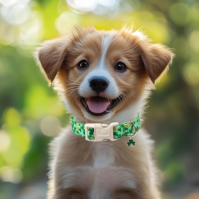 St. Patrick's Day Dog Collar for Medium Dogs - Green Shamrock & Yellow Flower Print Dog Collars, Cute Irish Party Puppy Collar, Lightweight Adjustable St. Patricks Day Pet Collars M