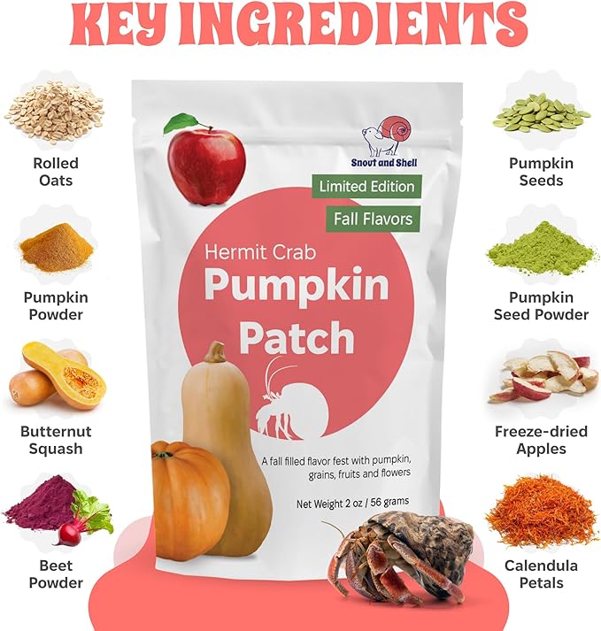 Snout and Shell Pumpkin Patch Hermit Crab Food – Limited Edition Fall Blend with Pumpkin, Squash, Fruits, Grains & Flowers – 2 oz (56g) Natural Seasonal Treat